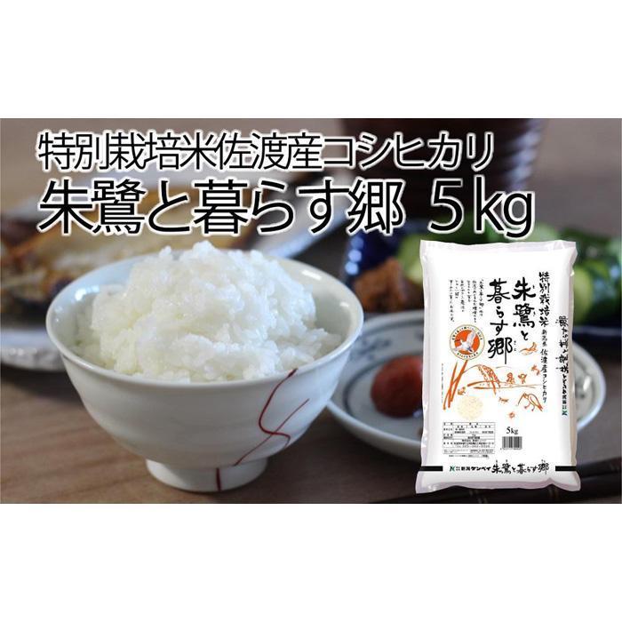 5位! 口コミ数「3件」評価「5」佐渡産コシヒカリ・朱鷺と暮らす郷　5kg／10kg／定期便各種 | 米 こめ コメ 精米 ご飯 ごはん 新潟 佐渡市