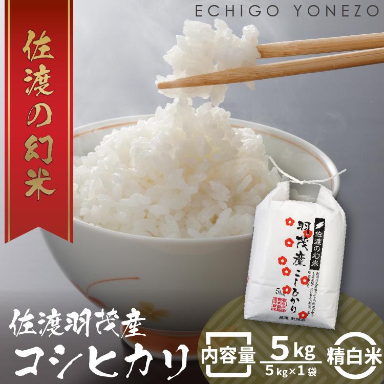 【ふるさと納税】羽茂産コシヒカリ 佐渡の幻米 白米 5kg 