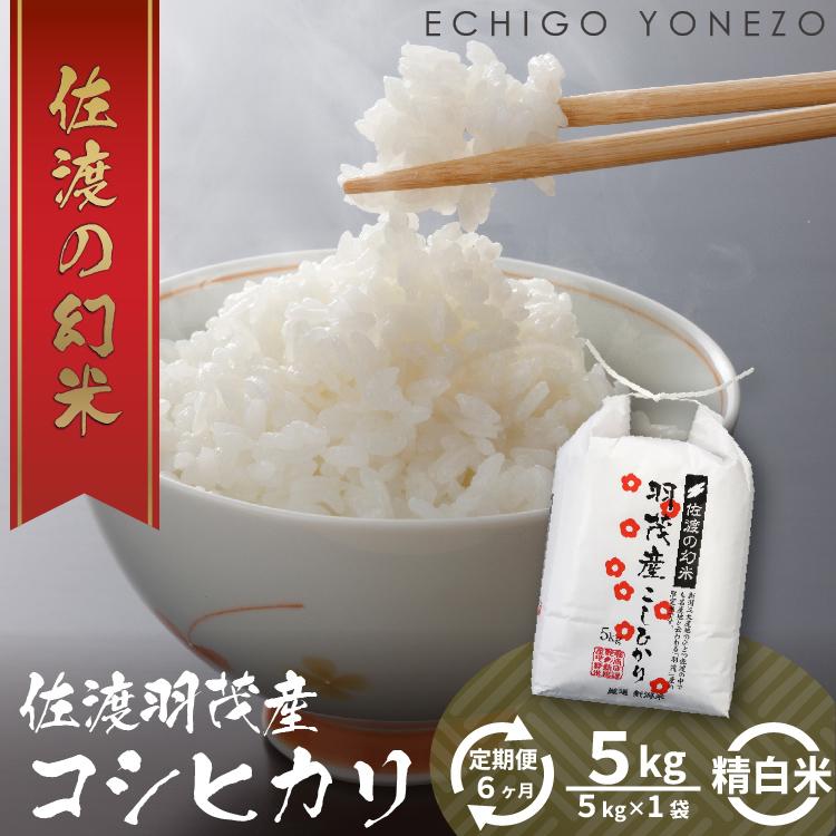 8位! 口コミ数「0件」評価「0」[定期便] 羽茂産コシヒカリ 白米 5kg 6カ月 | お米 こめ 白米 食品 人気 おすすめ 送料無料