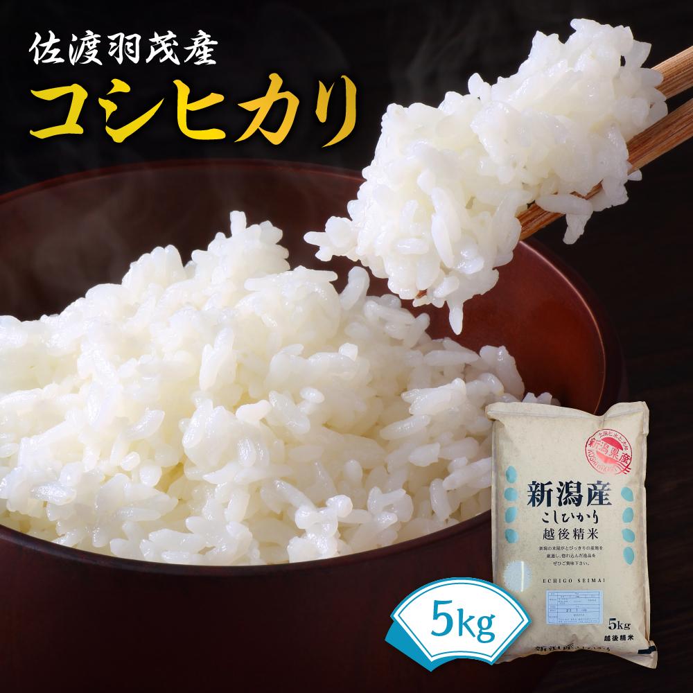 [令和5年度産]佐渡羽茂産コシヒカリ 5kg | お米 こめ 白米 食品 人気 おすすめ 送料無料