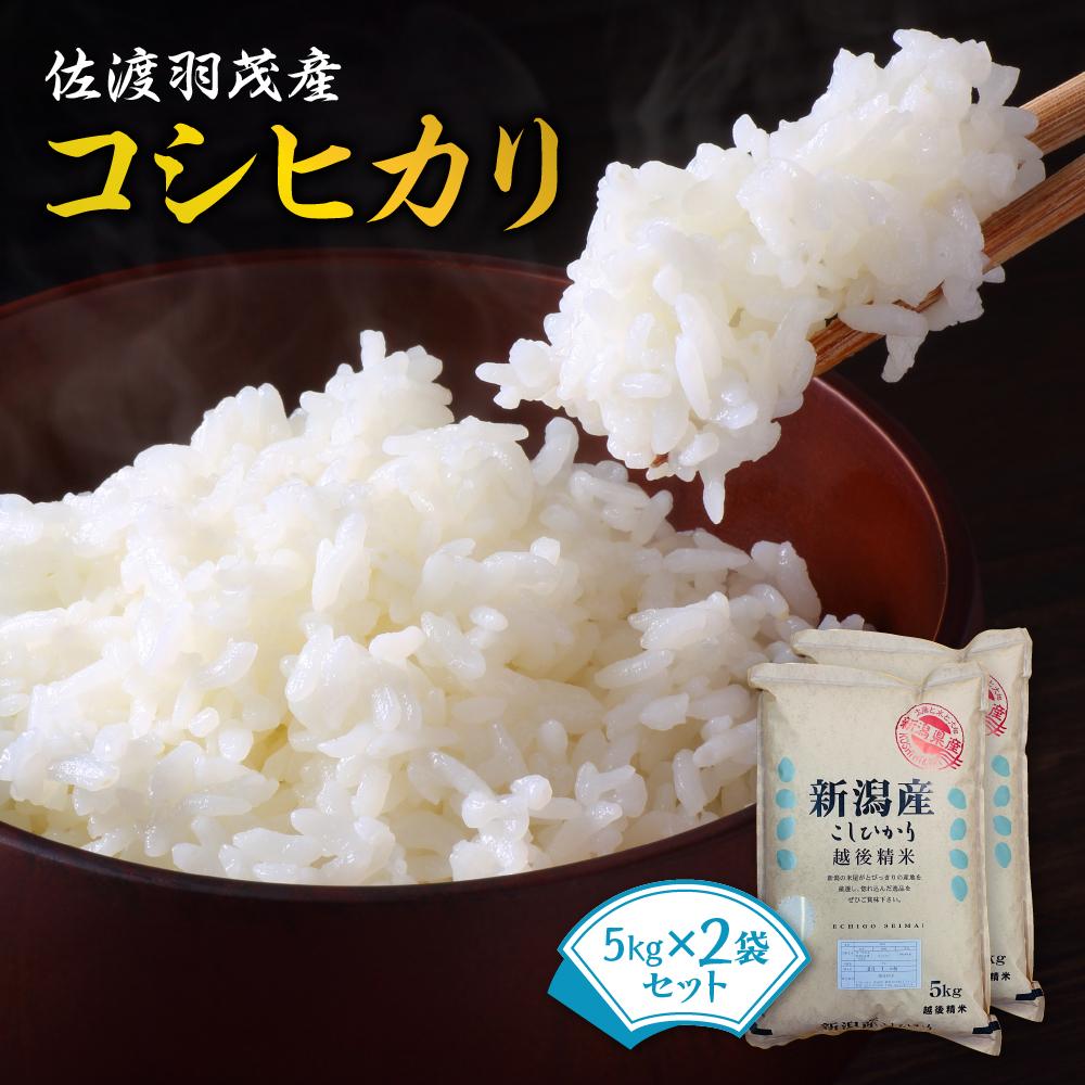 【ふるさと納税】佐渡羽茂産コシヒカリ　5kg×2袋セット／5