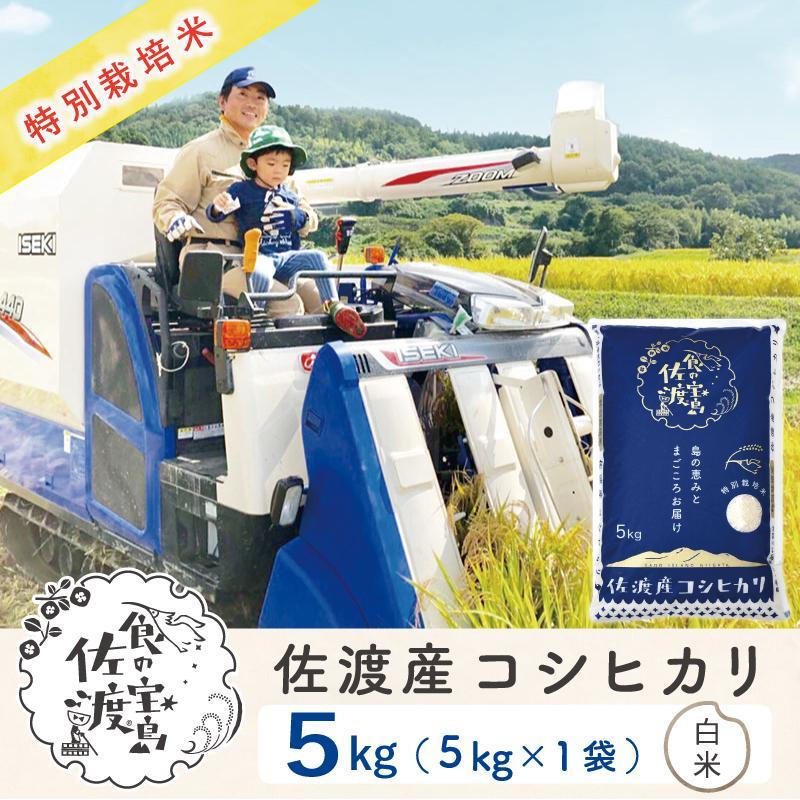 "ベストファーマー認証受賞歴" 佐渡島産コシヒカリ 白米5Kg×1袋[令和5年産]特別栽培米 | お米 こめ 白米 食品 人気 おすすめ 送料無料