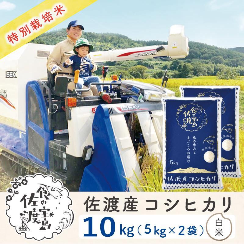 "ベストファーマー認証受賞歴" 佐渡島産コシヒカリ 白米10Kg(5Kg×2袋)[令和5年産]特別栽培米 | お米 こめ 白米 食品 人気 おすすめ 送料無料