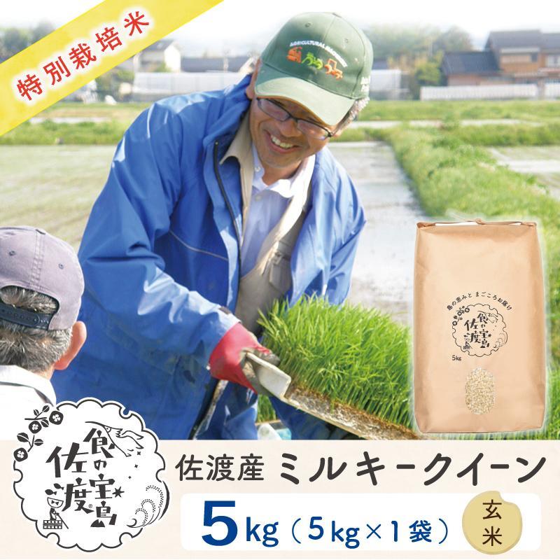 佐渡島産 ミルキークイーン 玄米5Kg×1袋[令和5年産]特別栽培米 | お米 こめ 白米 食品 人気 おすすめ 送料無料