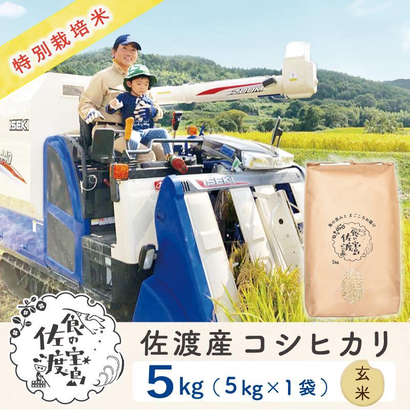 "ベストファーマー認証受賞歴" 佐渡島産コシヒカリ 玄米5Kg×1袋[令和5年産]特別栽培米 | お米 こめ 白米 食品 人気 おすすめ 送料無料