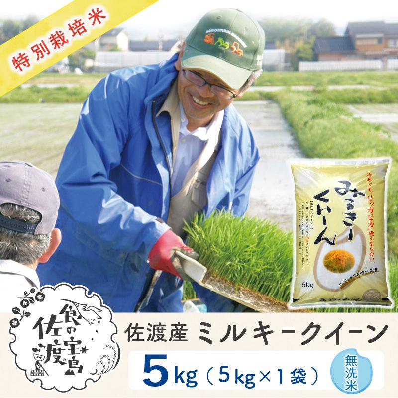 佐渡島産 ミルキークイーン 無洗米5Kg×1袋[令和5年産]特別栽培米 | お米 こめ 白米 食品 人気 おすすめ 送料無料