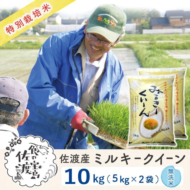 佐渡島産 ミルキークイーン 無洗米10Kg(5Kg×2袋)[令和5年産]特別栽培米 | お米 こめ 白米 食品 人気 おすすめ 送料無料