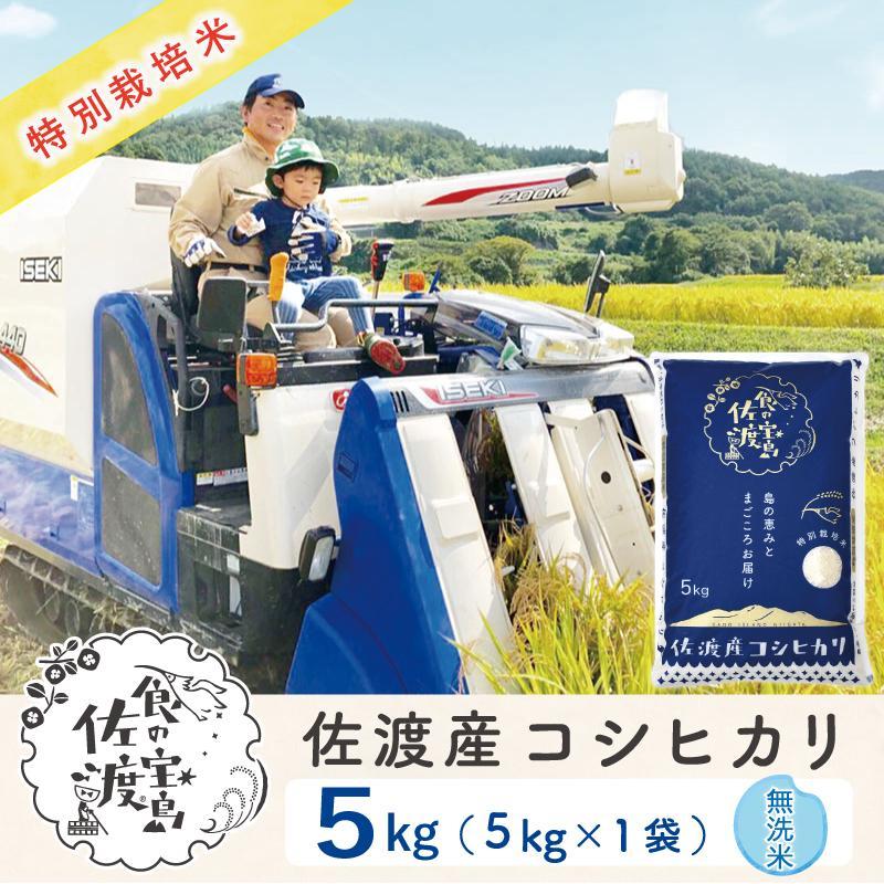 "ベストファーマー認証受賞歴" 佐渡島産コシヒカリ 無洗米5Kg×1袋[令和5年産]特別栽培米 | お米 こめ 白米 食品 人気 おすすめ 送料無料