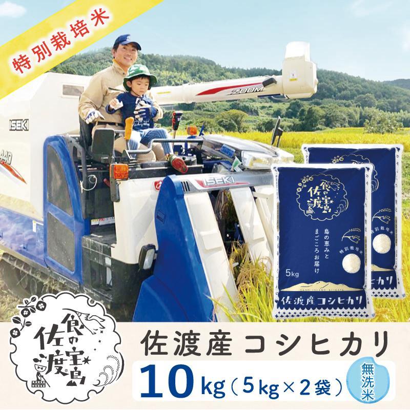 【ふるさと納税】”ベストファーマー認証受賞歴” 佐渡島産コシヒカリ 無洗米10Kg(5kg×2袋)【令和5年産】特別栽培米 | お米 こめ 白米 食品 人気 おすすめ 送料無料