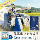 【ふるさと納税】【新米予約 3か月定期便】佐渡島産コシヒカリ 白米5Kg 令和7年 特別栽培米 農家直送 | お米 こめ 白米 食品 人気 おすすめ 送料無料