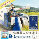 【ふるさと納税】【新米予約 12か月定期便】佐渡島産コシヒカリ 白米5Kg 令和7年 特別栽培米 農家直送 | お米 こめ 白米 食品 人気 おすすめ 送料無料
