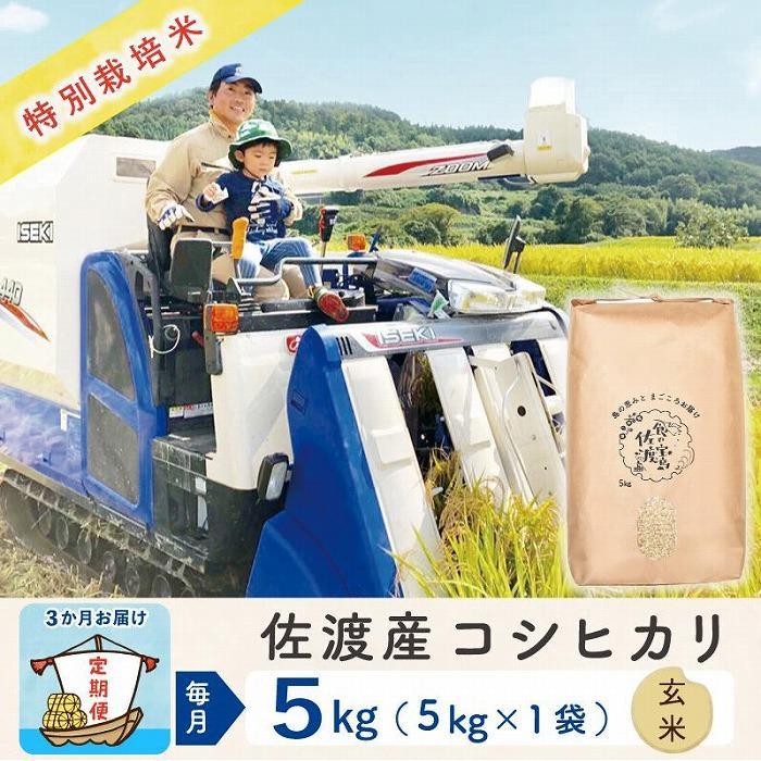 [3か月定期便]佐渡島産コシヒカリ 玄米5Kg 令和5年産 特別栽培米 | お米 こめ 白米 食品 人気 おすすめ 送料無料