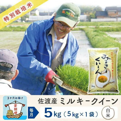 【3か月定期便】佐渡島産ミルキークイーン 白米5Kg 令和5年産 特別栽培米 | お米 こめ 白米 食品 人気 おすすめ 送料無料