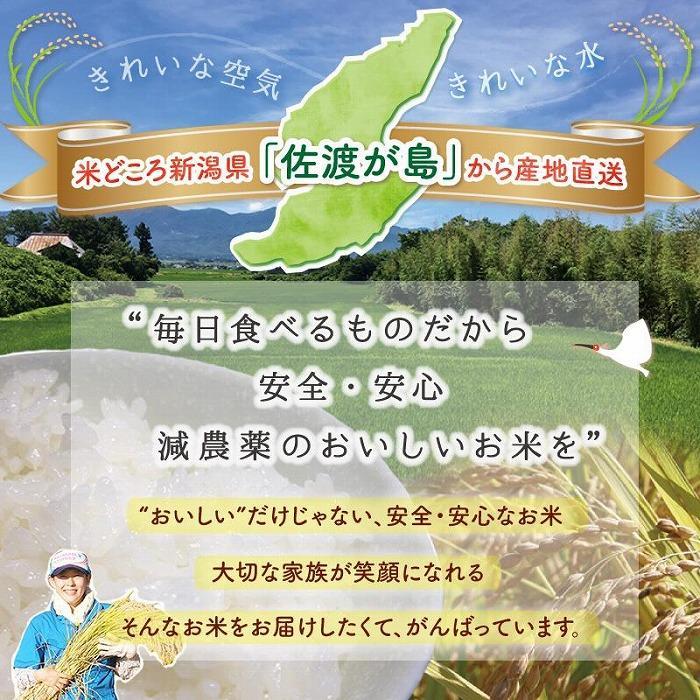 【ふるさと納税】【3か月定期便】佐渡島産ミルキークイーン 無洗米5Kg 令和5年産 特別栽培米 | お米 こめ 白米 食品 人気 おすすめ 送料無料