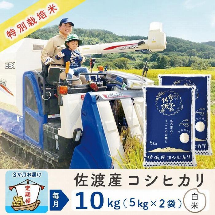 16位! 口コミ数「0件」評価「0」【3か月定期便】佐渡島産コシヒカリ 白米10Kg 令和5年産 特別栽培米 | お米 こめ 白米 食品 人気 おすすめ 送料無料