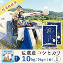 【ふるさと納税】【新米予約 3か月定期便】佐渡島産コシヒカリ 白米10Kg 令和7年 特別栽培米 農家直送 | お米 こめ 白米 食品 人気 おすすめ 送料無料