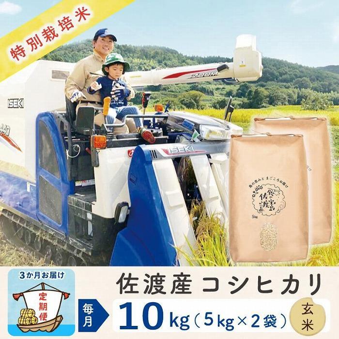 【ふるさと納税】【3か月定期便】佐渡島産コシヒカリ 玄米10Kg 令和5年産 特別栽培米 | お米 こめ 白米 食品 人気 おすすめ 送料無料