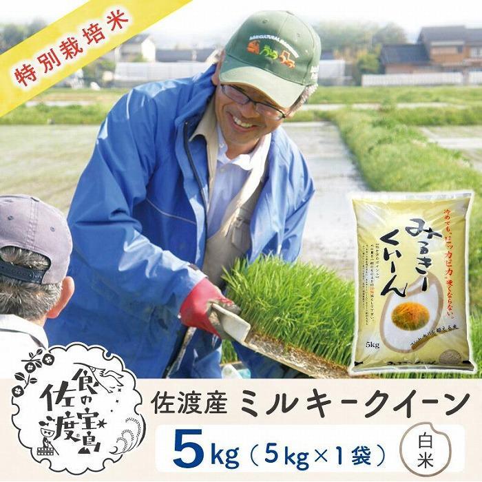 【ふるさと納税】佐渡島産 ミルキークイーン 白米5Kg×1袋 【令和5年産】特別栽培米 | お米 こめ 白米 食品 人気 おすすめ 送料無料