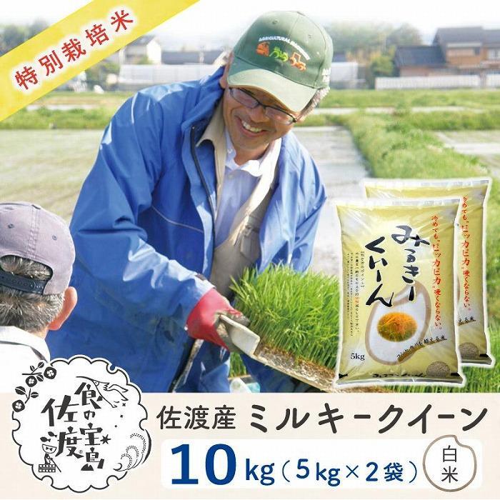 佐渡島産 ミルキークイーン 白米10Kg (5Kg×2袋)[令和5年産]特別栽培米 | お米 こめ 白米 食品 人気 おすすめ 送料無料