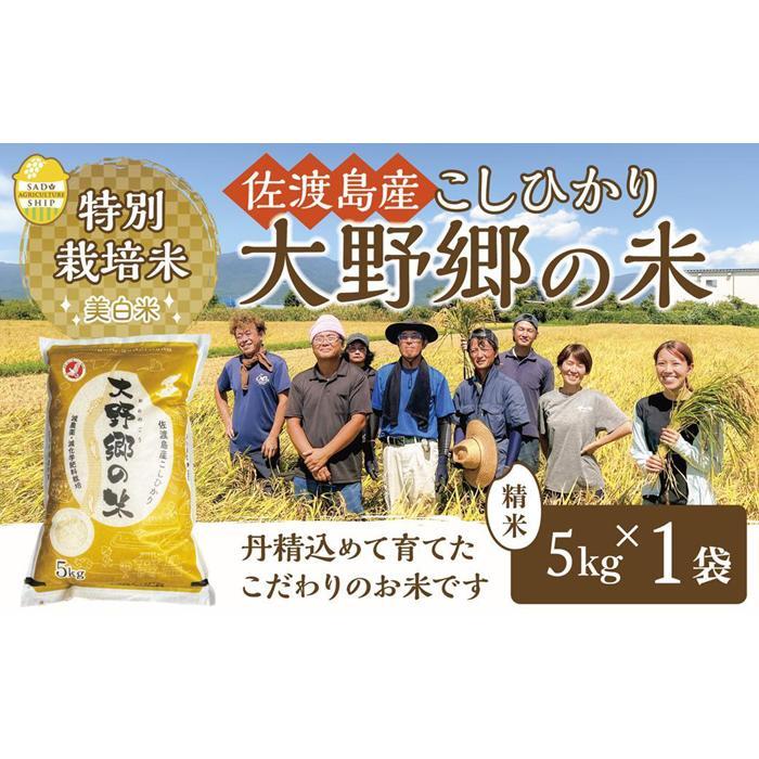 【ふるさと納税】【令和5年産】佐渡島産 特別栽培米こしひかり「大野郷の米」 精米5kg（お届け1回または定期便） | お米 こめ 白米 食品 人気 おすすめ 定期 送料無料