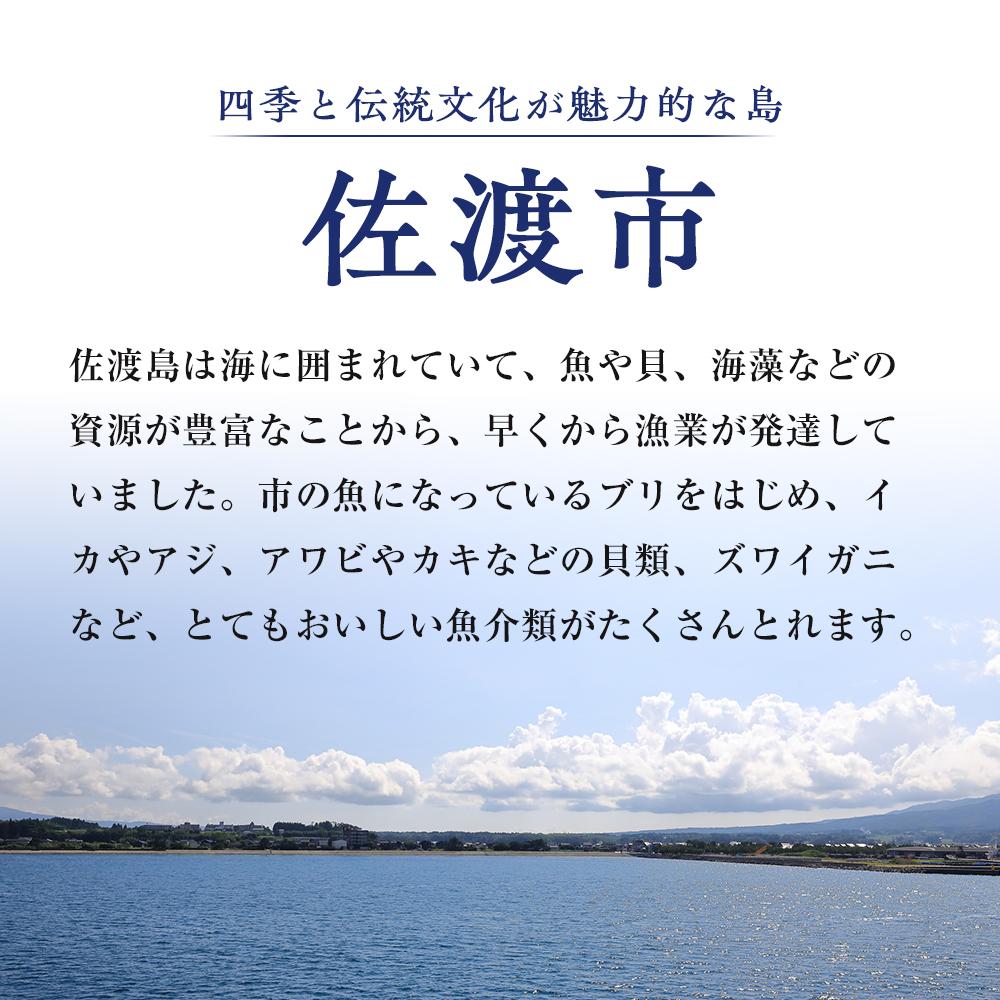 【ふるさと納税】佐渡産　一夜干しいか1袋2枚×2