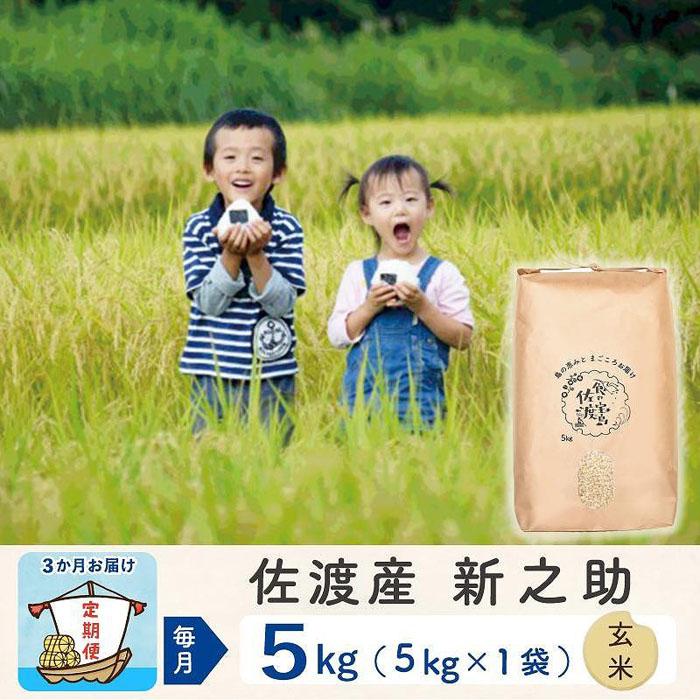 【ふるさと納税】【3か月定期便】佐渡島産新之助 玄米5Kg 令和5年産 | お米 こめ 白米 食品 人気 おすすめ 送料無料