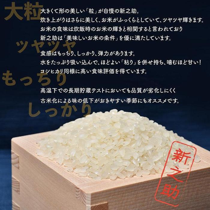 【ふるさと納税】【3か月定期便】佐渡島産新之助 玄米5Kg 令和5年産 | お米 こめ 白米 食品 人気 おすすめ 送料無料