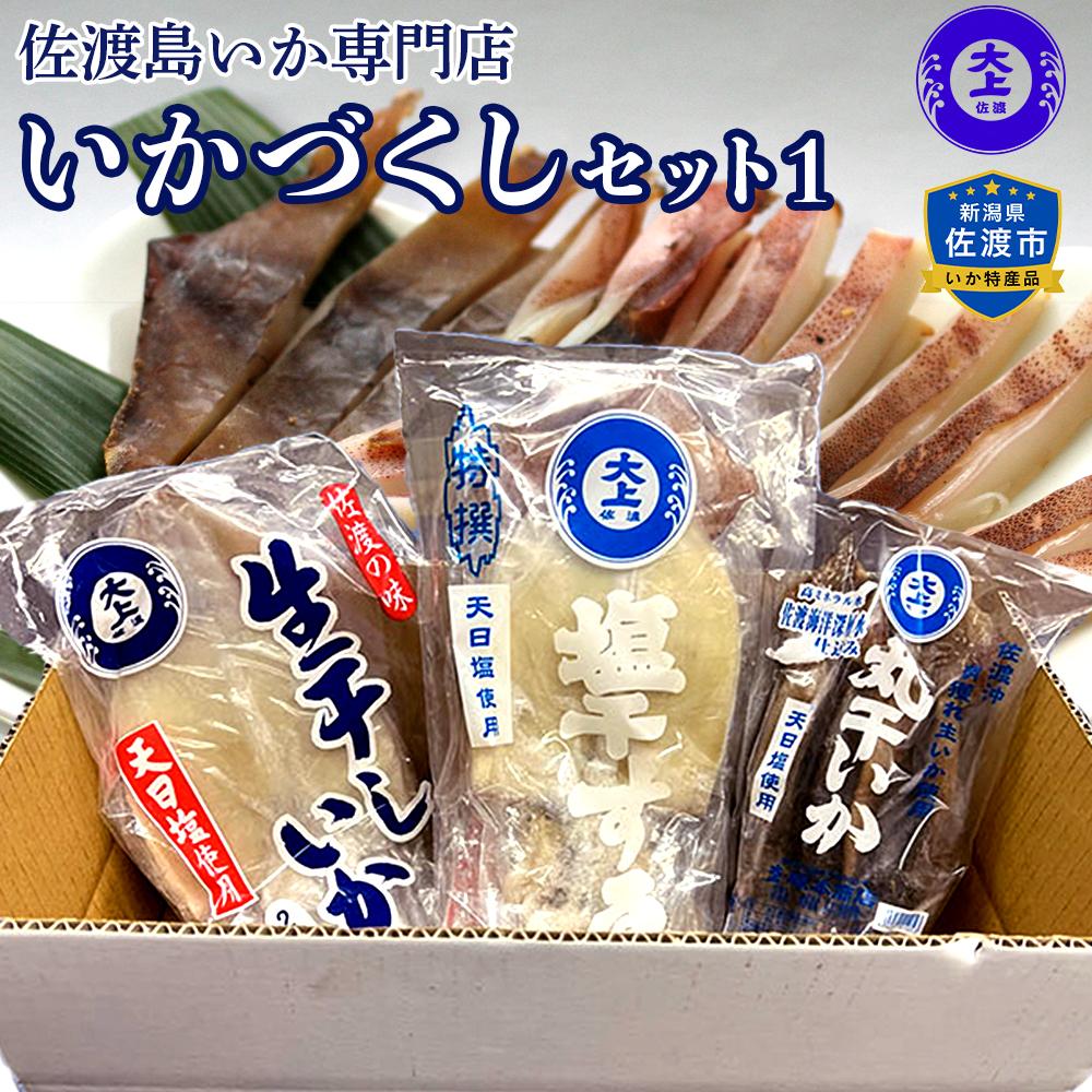 【ふるさと納税】干物 イカ 佐渡沖産 3種 いかづくしセット