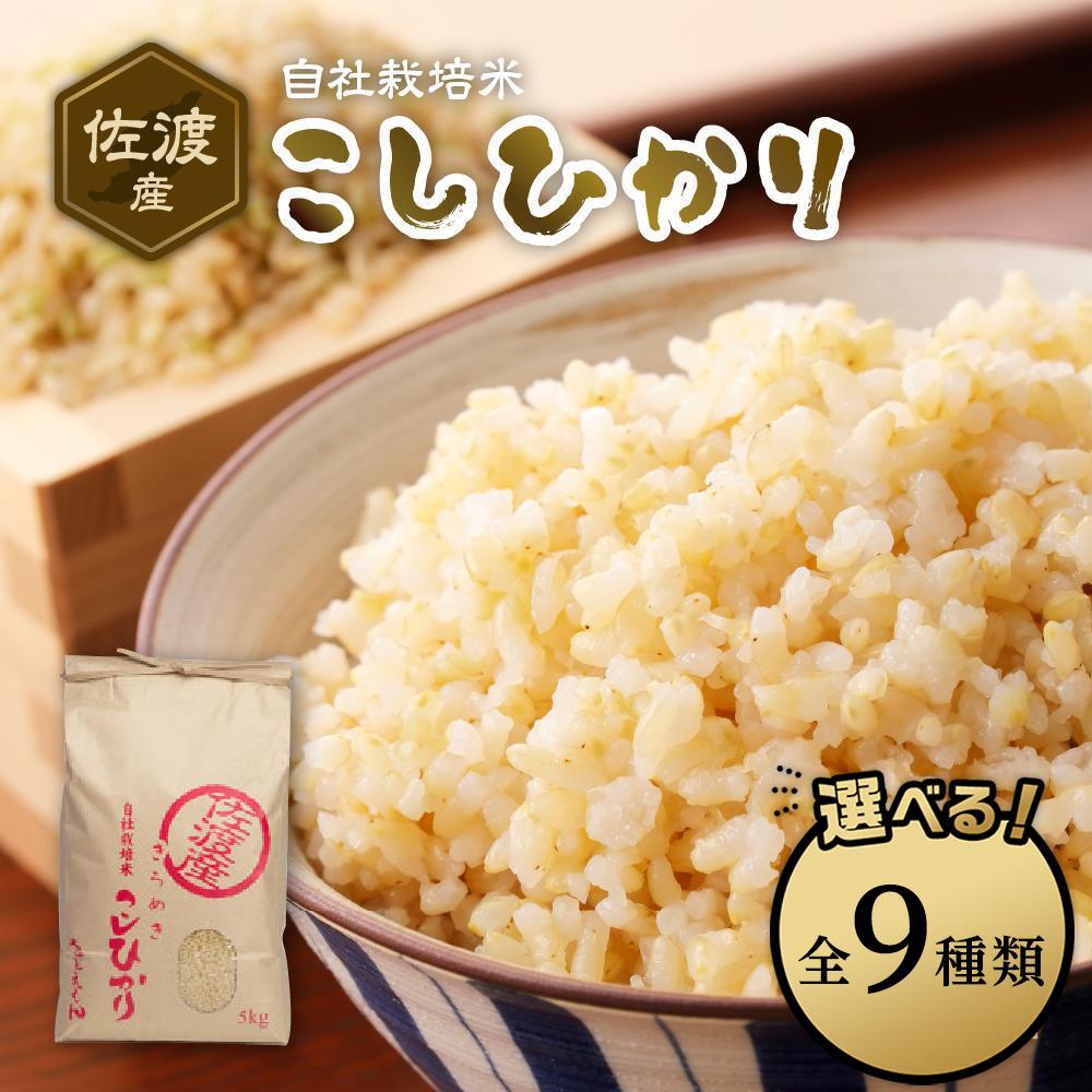 【ふるさと納税】自社栽培米佐渡産こしひかり(玄米)【定期便】