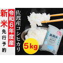 【ふるさと納税】【令和6年度産新米・先行予約】佐渡羽茂産コシ