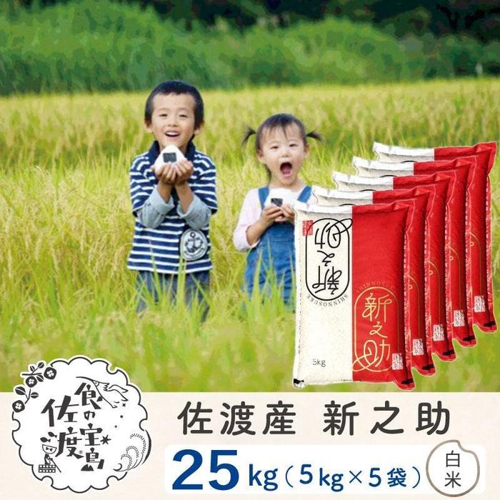 【ふるさと納税】佐渡島産 新之助 白米25kg(5kg×5袋）【令和5年産】 | お米 こめ 白米 食品 人気 おすすめ 送料無料