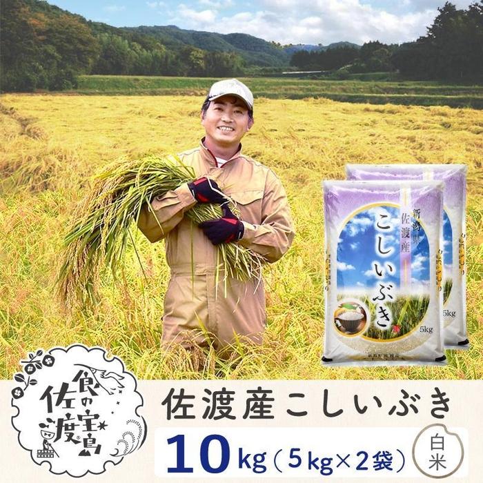 【ふるさと納税】佐渡島産 こしいぶき 白米10kg(5kg×2袋）【令和5年産】～農薬5割減～ | お米 こめ 白米 食品 人気 おすすめ 送料無料