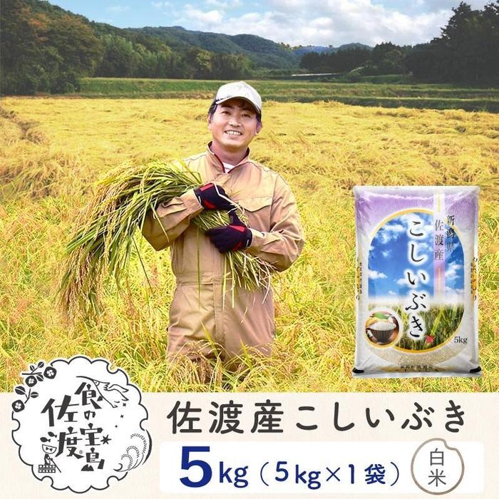 佐渡島産 こしいぶき 白米5kg×1袋[令和5年産]〜農薬5割減〜 | お米 こめ 白米 食品 人気 おすすめ 送料無料