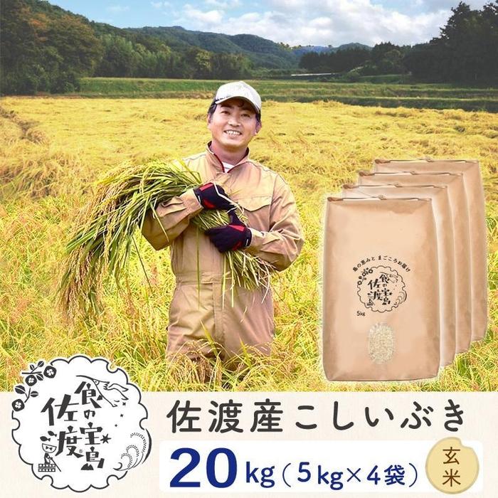 佐渡島産 こしいぶき 玄米20kg(5kg×4袋）【令和5年産】～農薬5割減～ | お米 玄米 こめ 食品 人気 おすすめ 送料無料