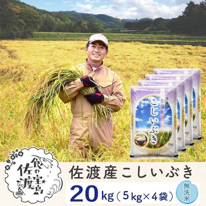 【ふるさと納税】佐渡島産 こしいぶき 無洗米20kg(5kg×4袋)【令和5年産】～農薬5割減～ | お米 こめ 白米 食品 人気 おすすめ 送料無料