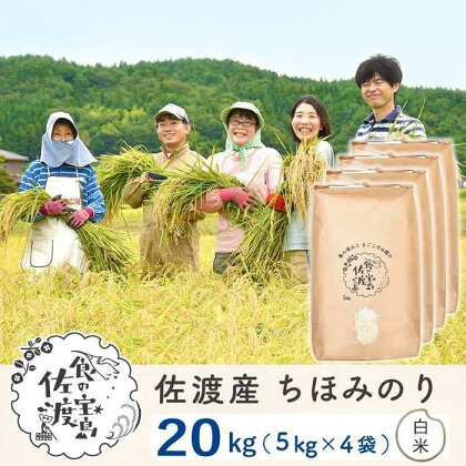 佐渡島産 ちほみのり 白米20kg(5kg×4袋）【令和5年産】～農薬5割減～ | お米 こめ 白米 食品 人気 おすすめ 送料無料