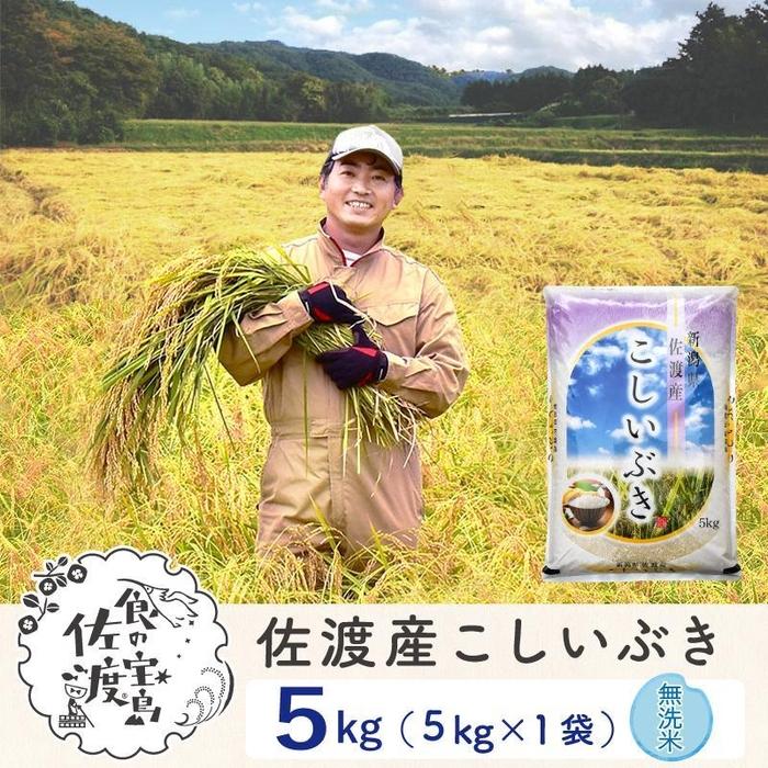 佐渡島産 こしいぶき 無洗米5kg×1袋[令和5年産]〜農薬5割減〜 | お米 こめ 白米 食品 人気 おすすめ 送料無料