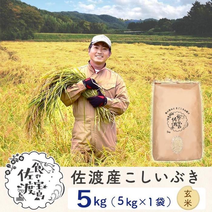 佐渡島産 こしいぶき 玄米5kg×1袋[令和5年産]〜農薬5割減〜 | お米 玄米 こめ 食品 人気 おすすめ 送料無料