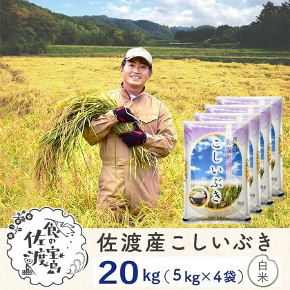 佐渡島産 こしいぶき 白米20kg(5kg×4袋）【令和5年産】～農薬5割減～ | お米 こめ 白米 食品 人気 おすすめ 送料無料