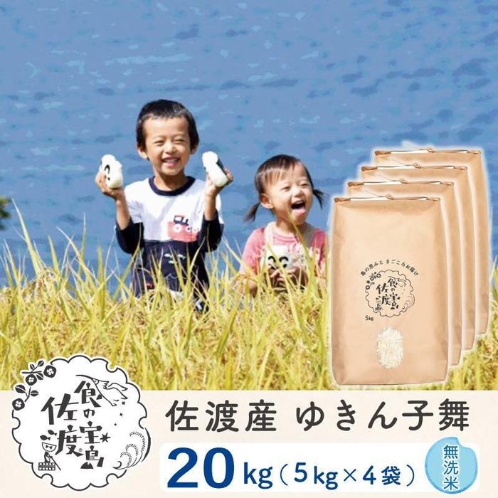 【ふるさと納税】佐渡島産 ゆきん子舞 無洗米20kg(5kg×4袋)【令和5年産】 | お米 こめ 白米 食品 人気 おすすめ 送料無料