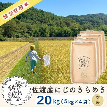 佐渡島産 にじのきらめき 玄米20kg(5kg×4袋)【令和5年産】特別栽培米 | お米 玄米 こめ 食品 人気 おすすめ 送料無料