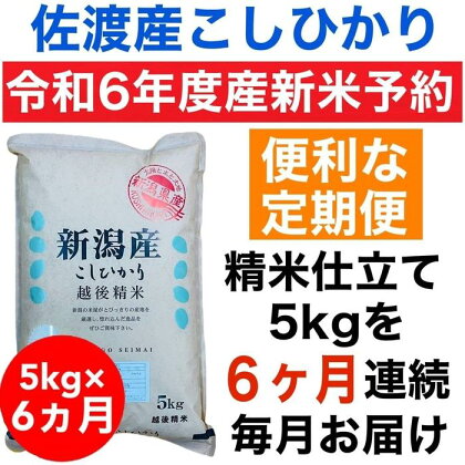 【令和6年度産新米・定期便予約】佐渡羽茂産コシヒカリ 5kg(精米)　全6回 | お米 こめ 白米 食品 人気 おすすめ 送料無料