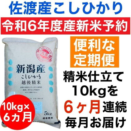 【令和6年度産新米・定期便予約】佐渡羽茂産コシヒカリ 10kg(精米)　全6回 | お米 こめ 白米 食品 人気 おすすめ 送料無料