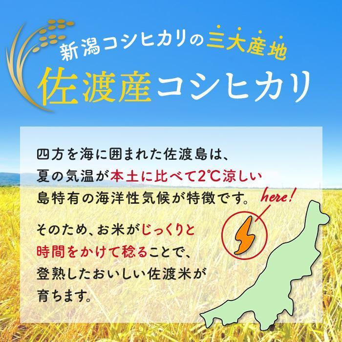 【ふるさと納税】【10kg / 15kg / 20kg 選べる】佐渡産ブレンド米　佐渡のめぐみ | 新潟 佐渡産 コシヒカリ 米 お米 白米 精米 こめ ふるさと納税 ご飯 人気 おすすめ 高評価 お楽しみ おにぎり 送料無料