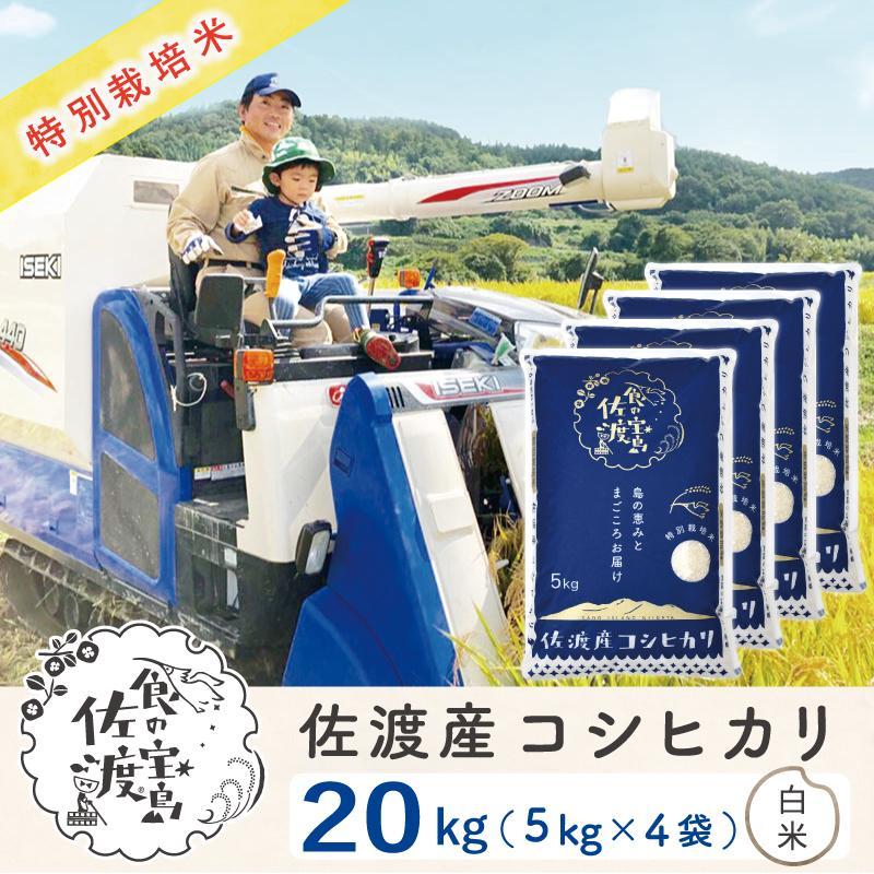 "ベストファーマー認証受賞歴" 佐渡島産コシヒカリ 白米20Kg(5Kg×4袋)[令和5年産]特別栽培米 | お米 こめ 白米 食品 人気 おすすめ 送料無料