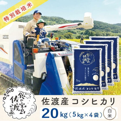 ”ベストファーマー認証受賞歴” 佐渡島産コシヒカリ 白米20Kg(5Kg×4袋)【令和5年産】特別栽培米 | お米 こめ 白米 食品 人気 おすすめ 送料無料