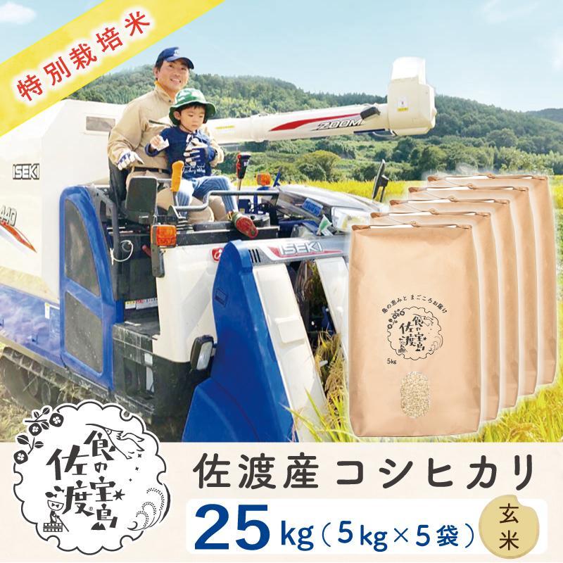 【ふるさと納税】”ベストファーマー認証受賞歴” 佐渡島産コシヒカリ 玄米25kg(5kg×5袋)【令和5年産】...