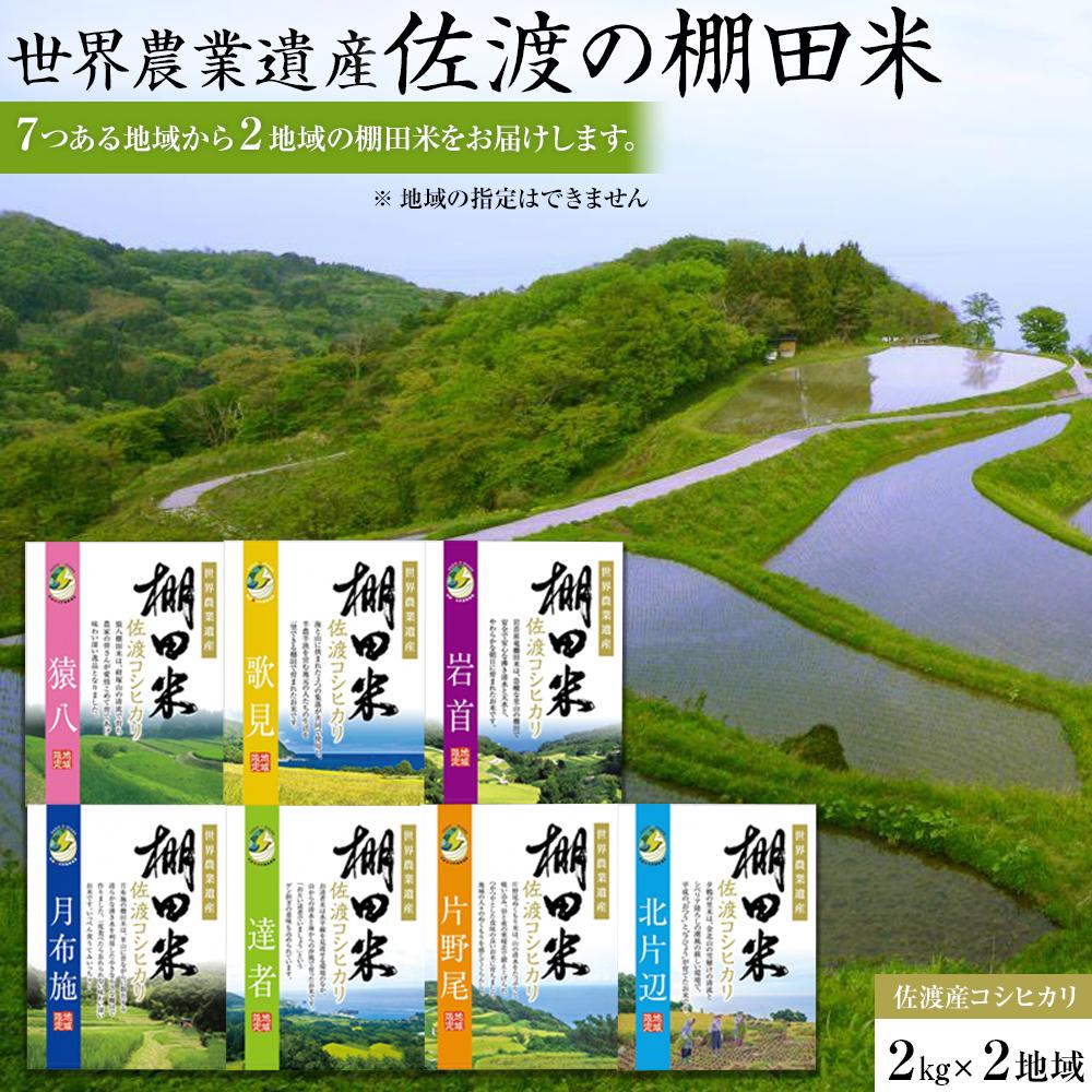佐渡島産コシヒカリ 棚田米食べ比べセット 白米4Kg(2Kg×2地域) | お米 こめ 白米 食品 人気 おすすめ 送料無料