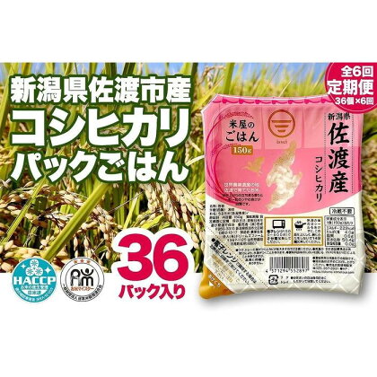 ＜全6回定期便＞米屋のごはん【新潟県佐渡市産コシヒカリ】パックごはん （150g×36個）×6回　 | お米 こめ 白米 食品 人気 おすすめ 送料無料