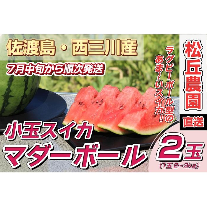 【ふるさと納税】【先行予約】佐渡西三川・松丘農園の名産品小玉